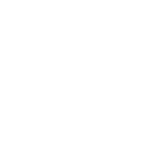 Distributor Management System (DMS)